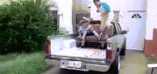 anigif_optimized-15973-1430150708-20